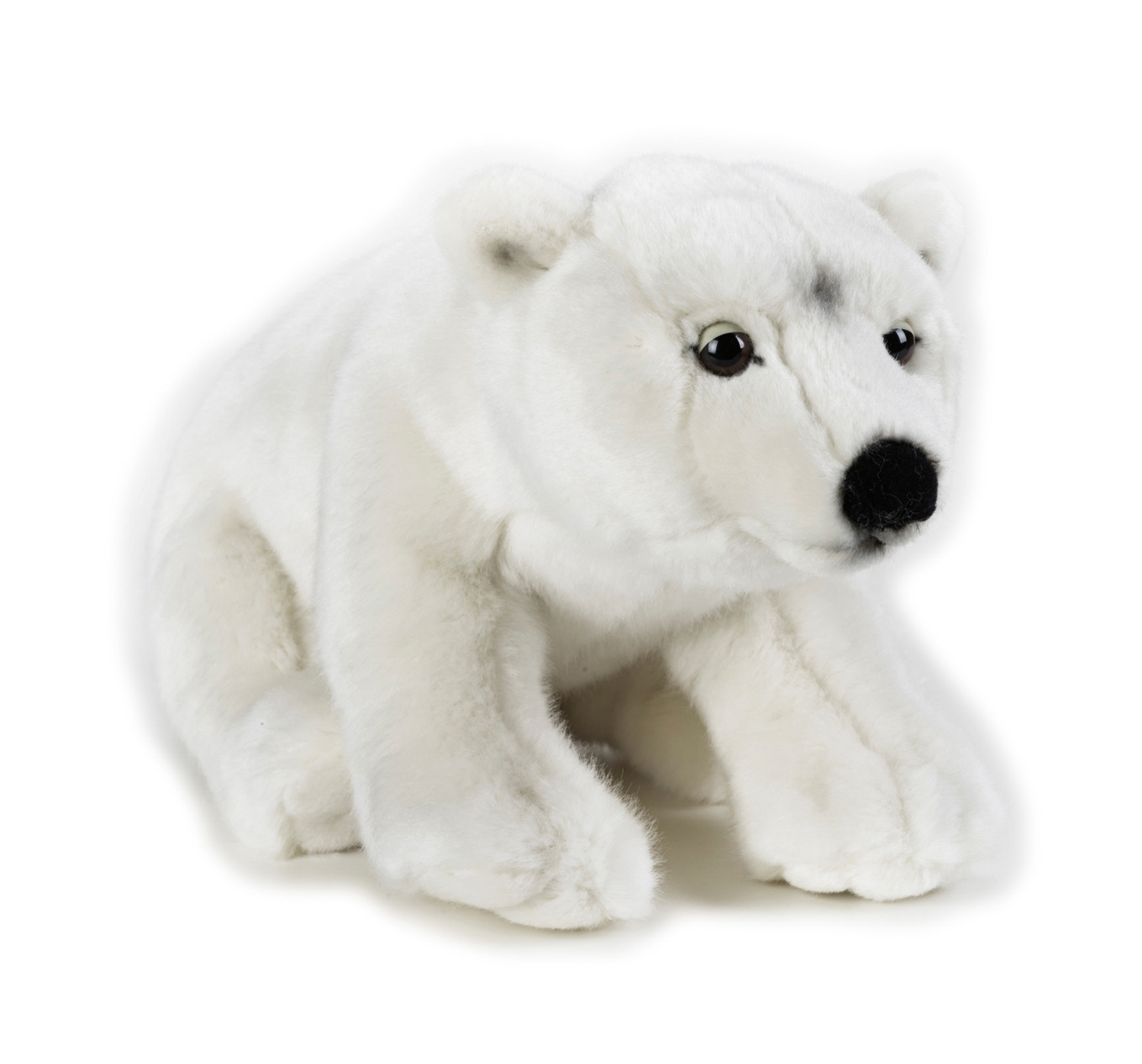 oso polar peluche